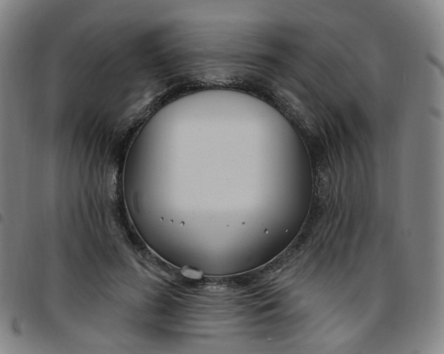 X0000097470596200803071655
