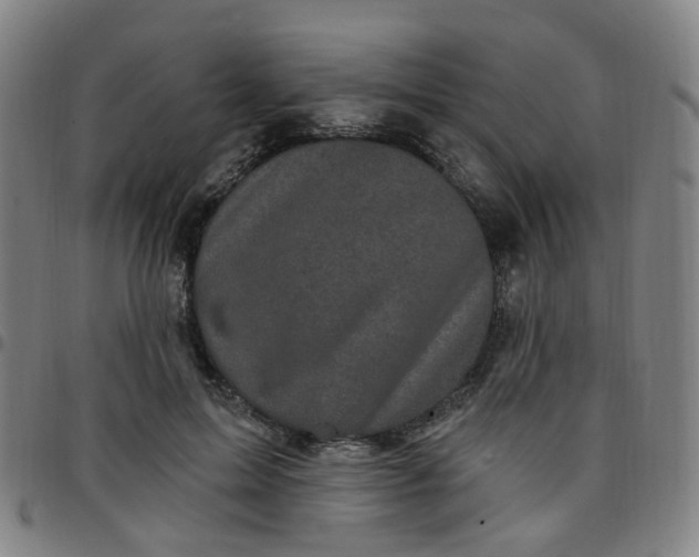 X0000097470599200803071655