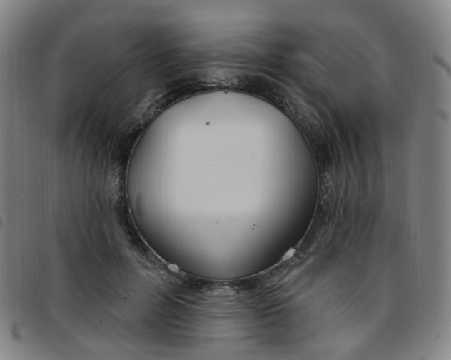 X0000097470600200803071655