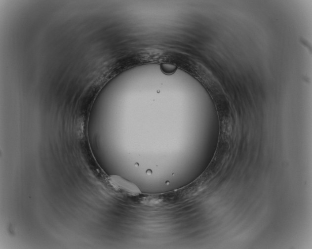 X0000097470602200803071655