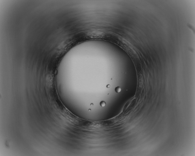 X0000097470604200803071655