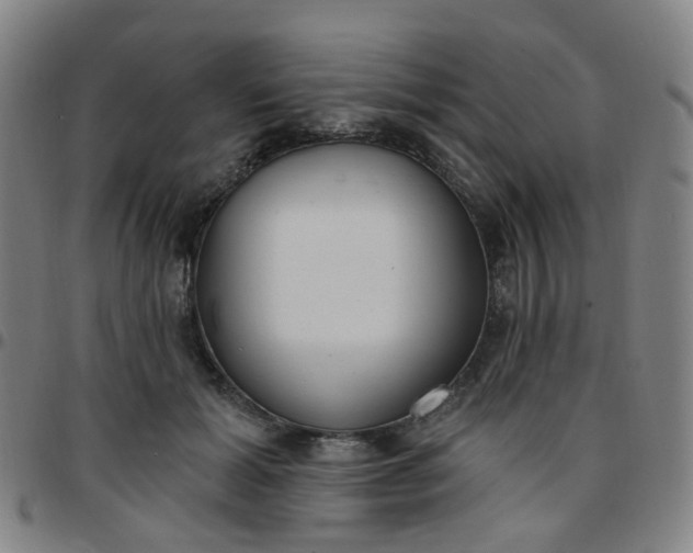 X0000097470605200803071655