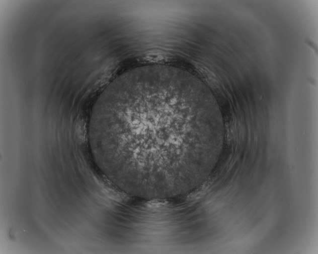 X0000097470606200803071655