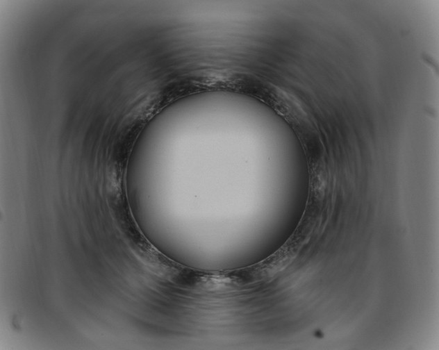 X0000097470607200803071655
