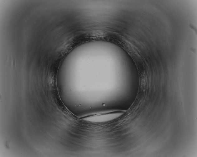 X0000097470608200803071655