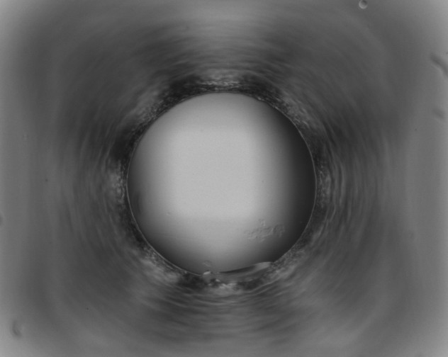 X0000097470609200803071655