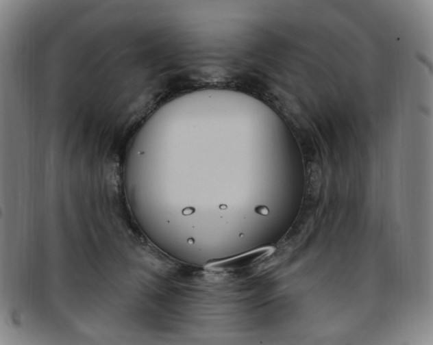 X0000097470612200803071655