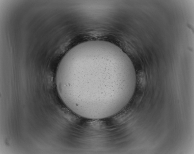 X0000097470615200803071655