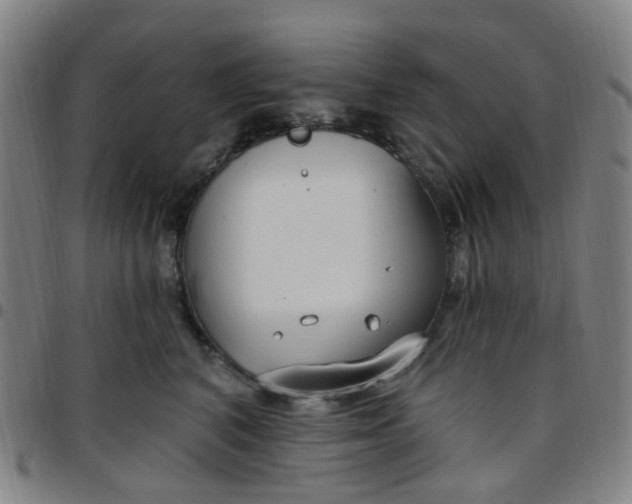 X0000097470616200803071655
