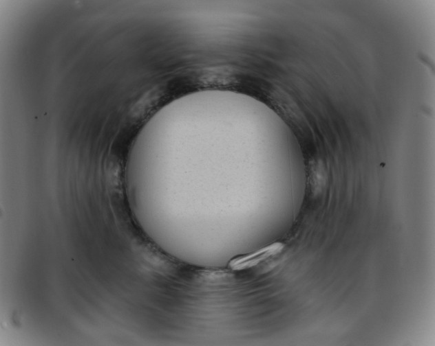 X0000097470619200803071655