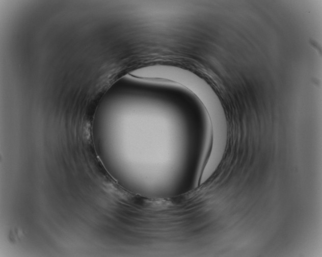 X0000097470621200803071655