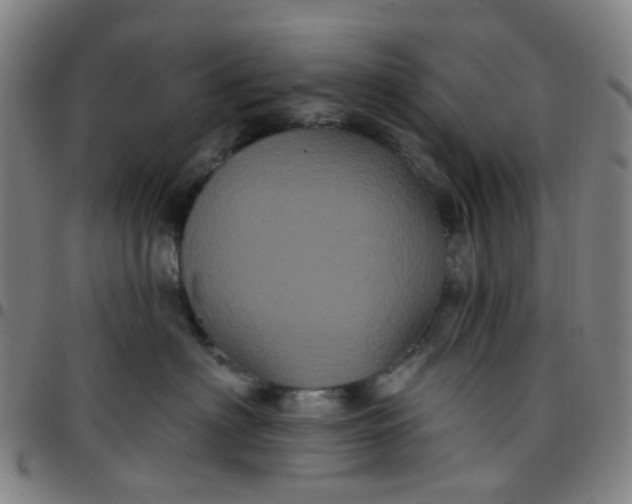 X0000097470622200803071655
