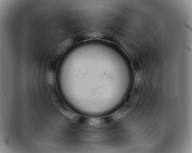 X0000097470623200803071655