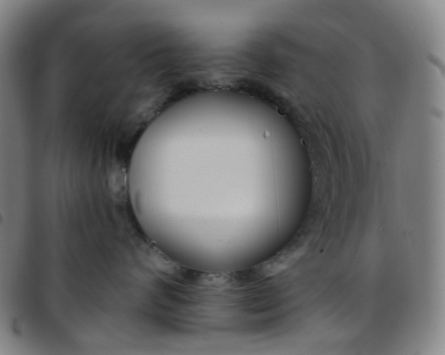 X0000097470624200803071655