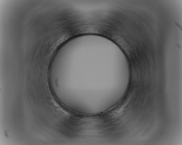 X0000097470625200803071654