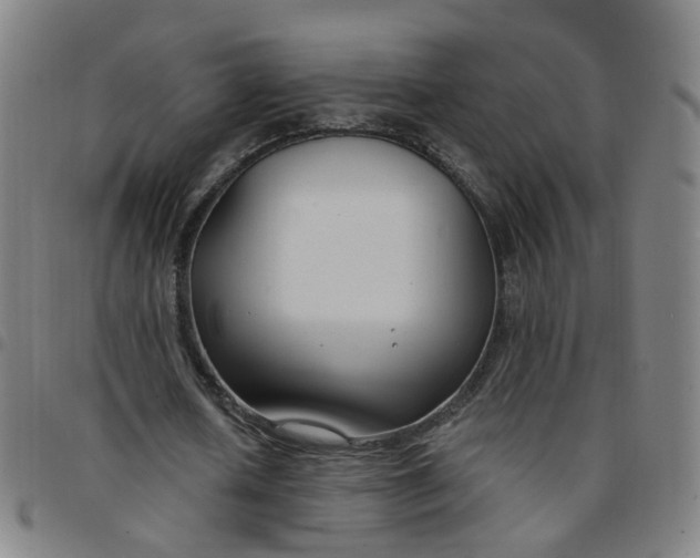 X0000097470626200803071654