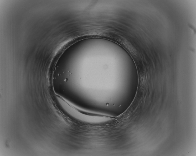 X0000097470628200803071654