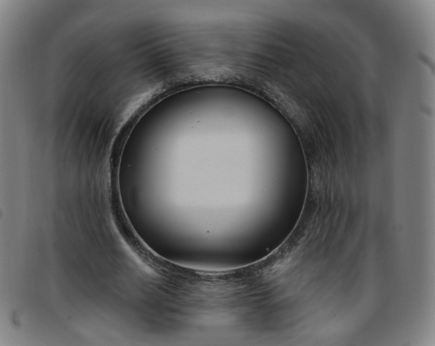 X0000097470630200803071654