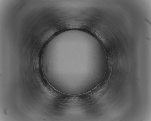 X0000097470631200803071654