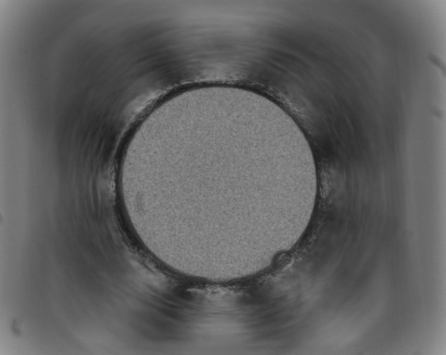 X0000097470632200803071654