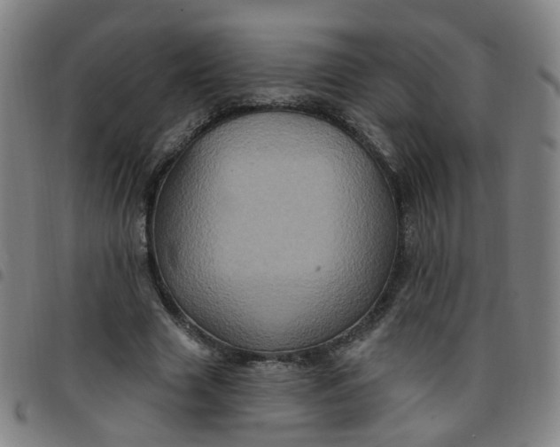 X0000097470633200803071654