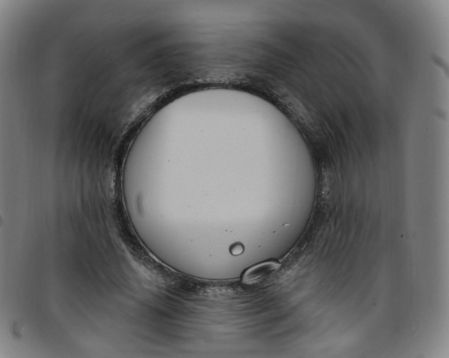 X0000097470636200803071654