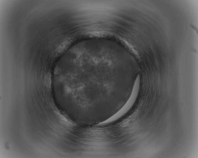 X0000097470637200803071654