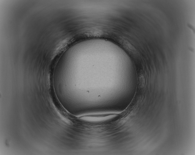 X0000097470638200803071654