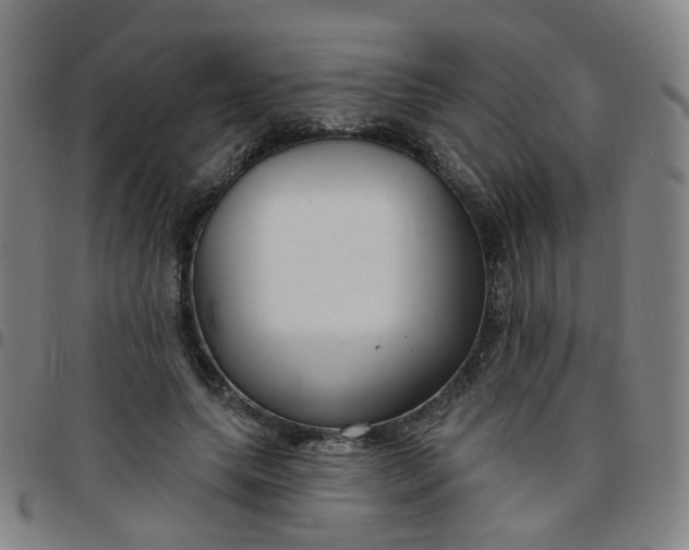 X0000097470639200803071654