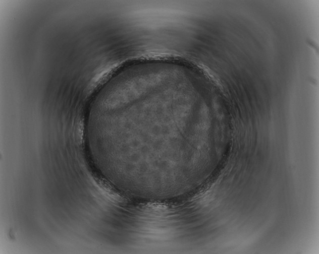 X0000097470640200803071654