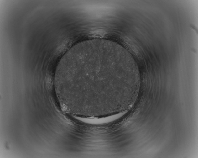 X0000097470641200803071654