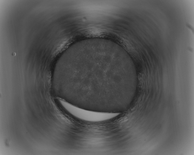 X0000097470642200803071654