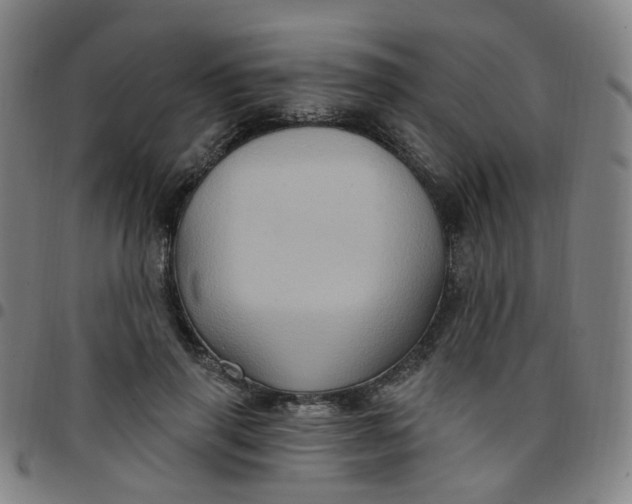 X0000097470645200803071654