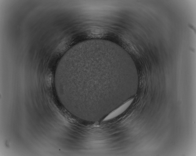 X0000097470647200803071654