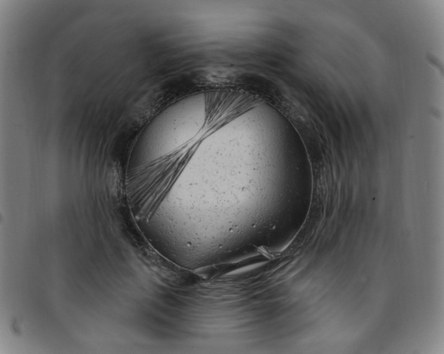X0000097470651200803071654