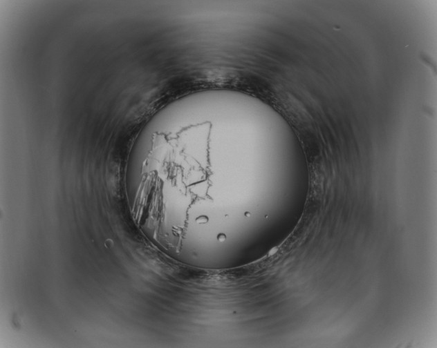 X0000097470656200803071654