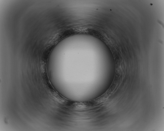 X0000097470658200803071655