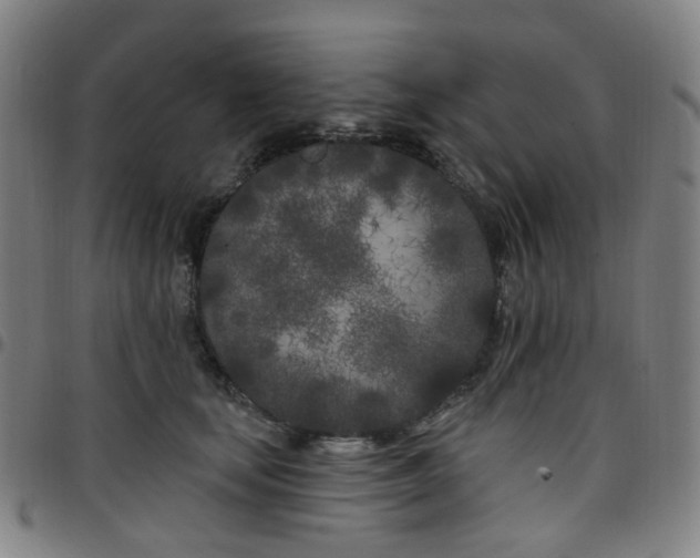 X0000097470659200803071655