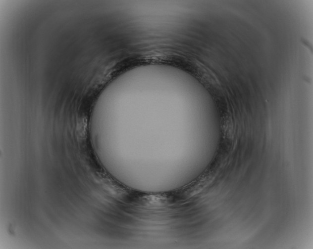 X0000097470660200803071655