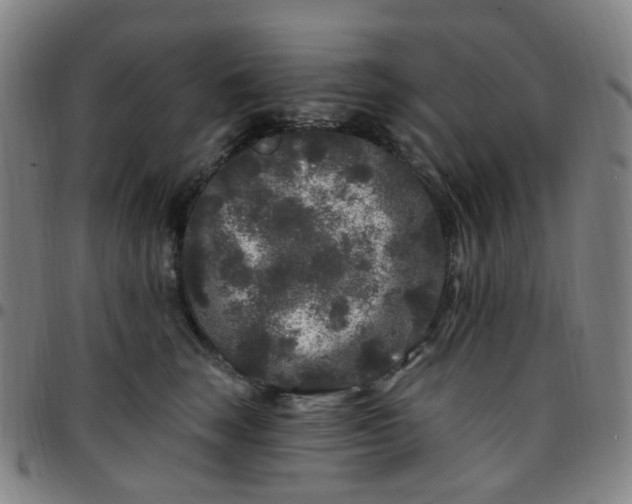 X0000097470663200803071655