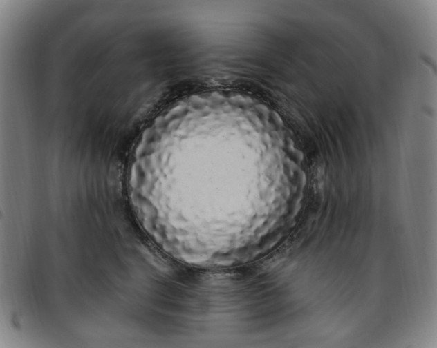 X0000097470664200803071655