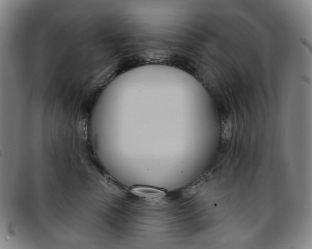 X0000097470666200803071655