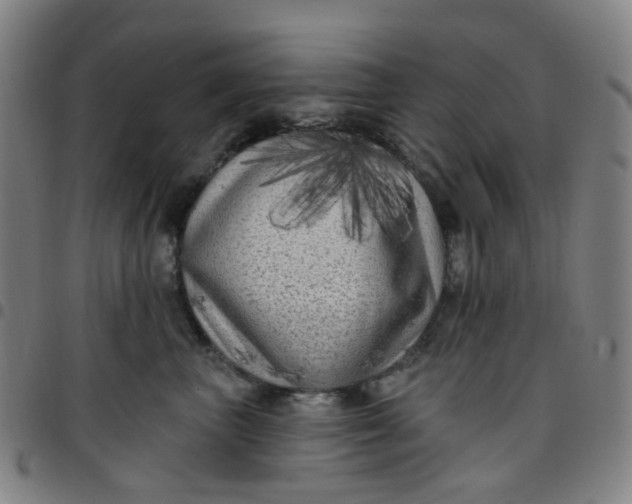X0000097470667200803071655
