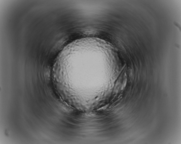 X0000097470668200803071655