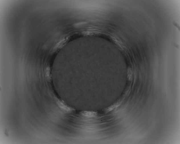 X0000097470670200803071655
