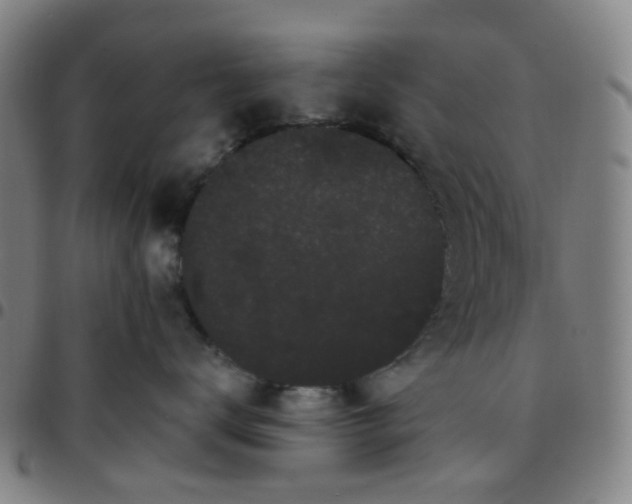 X0000097470672200803071655