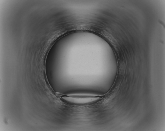 X0000097470673200803071654