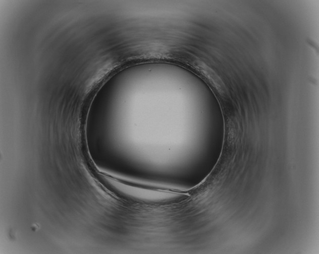X0000097470677200803071654