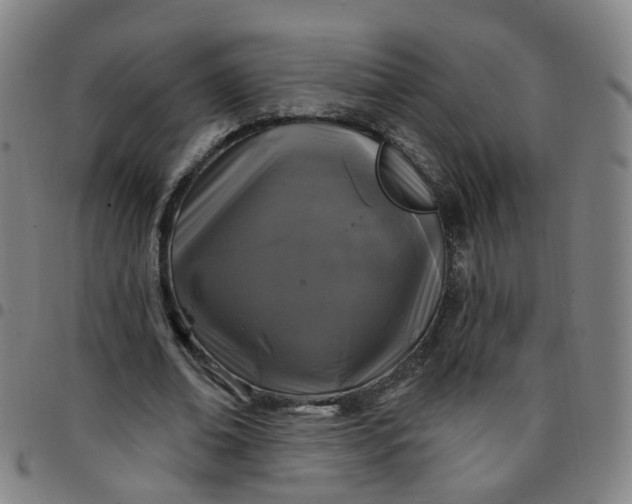 X0000097470678200803071654