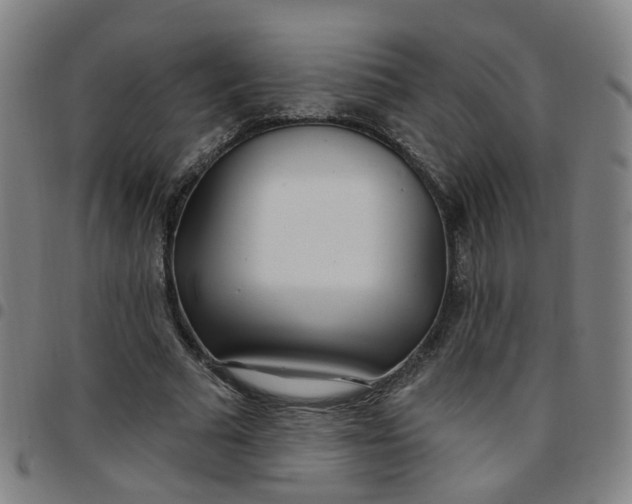 X0000097470681200803071654
